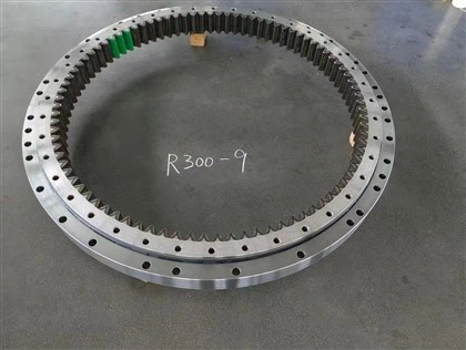 R 300-9 Swing legu
